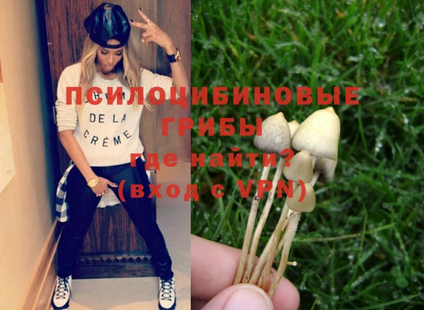 ешки Фурманов