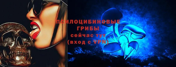 ECSTASY Каменка